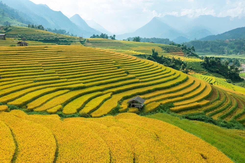 Muong Hoa Valley is famous for its beauty